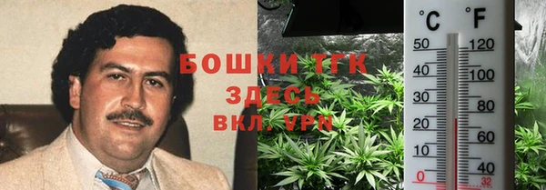 Альфа ПВП Пестово