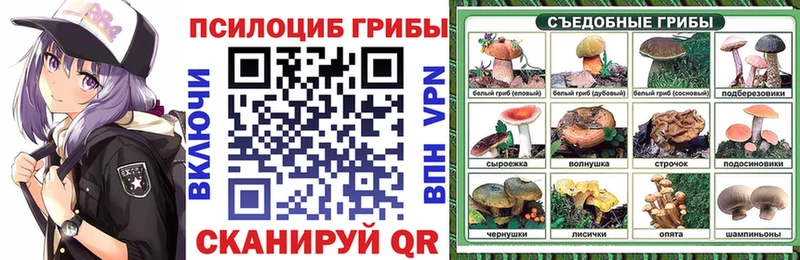 darknet как зайти  кракен ТОР  Кяхта  Галлюциногенные грибы Cubensis 